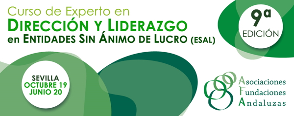 Curso de Experto en Dirección de Entidades Sin Ánimo de Lucro - ESAL
